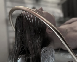 1-5039_head1